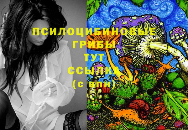 дурь Белоозёрский