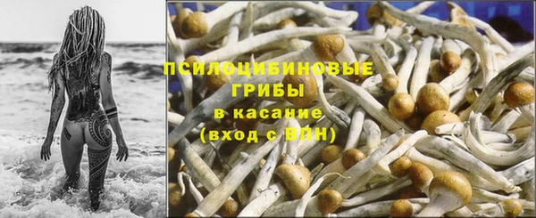 марихуана Белокуриха
