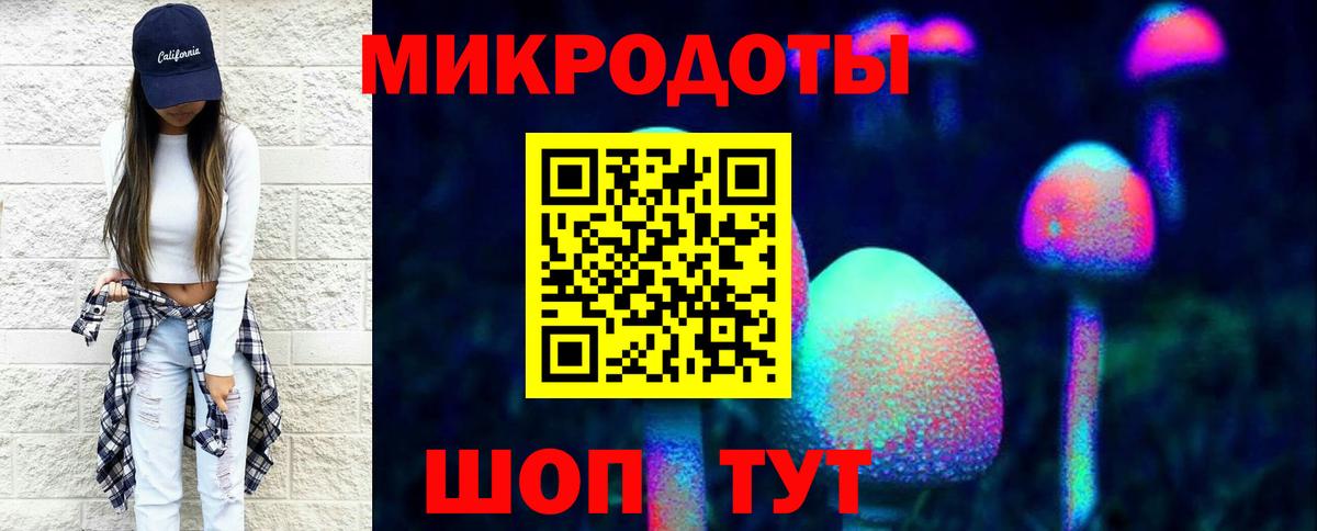 Псилоцибиновые грибы Cubensis Дагестанские Огни