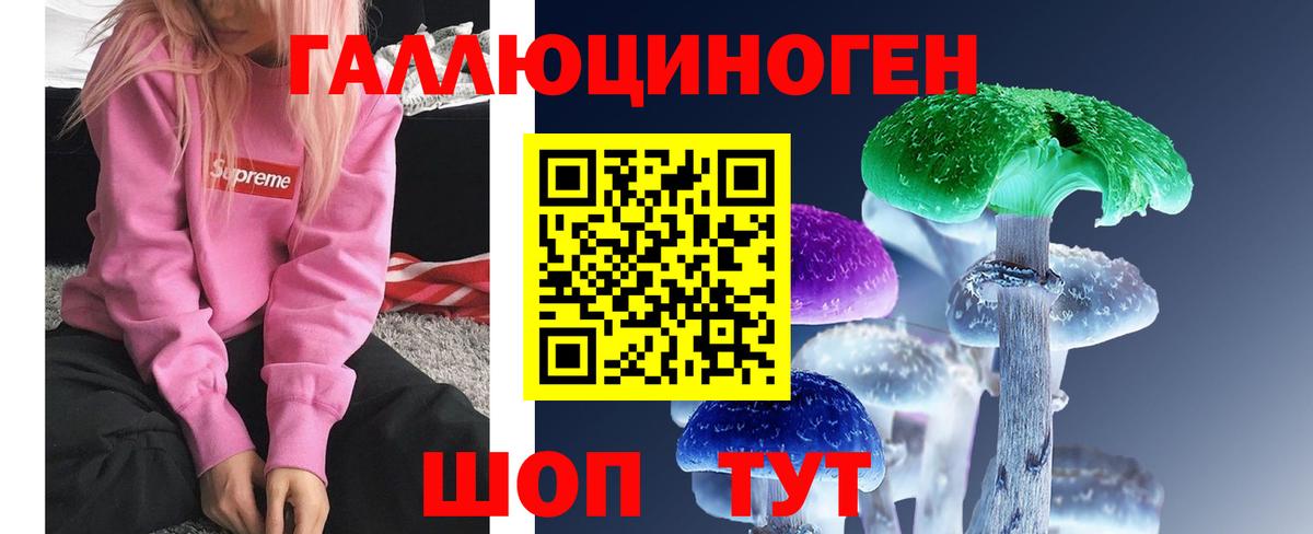 Галлюциногенные грибы Magic Shrooms  Дагестанские Огни 